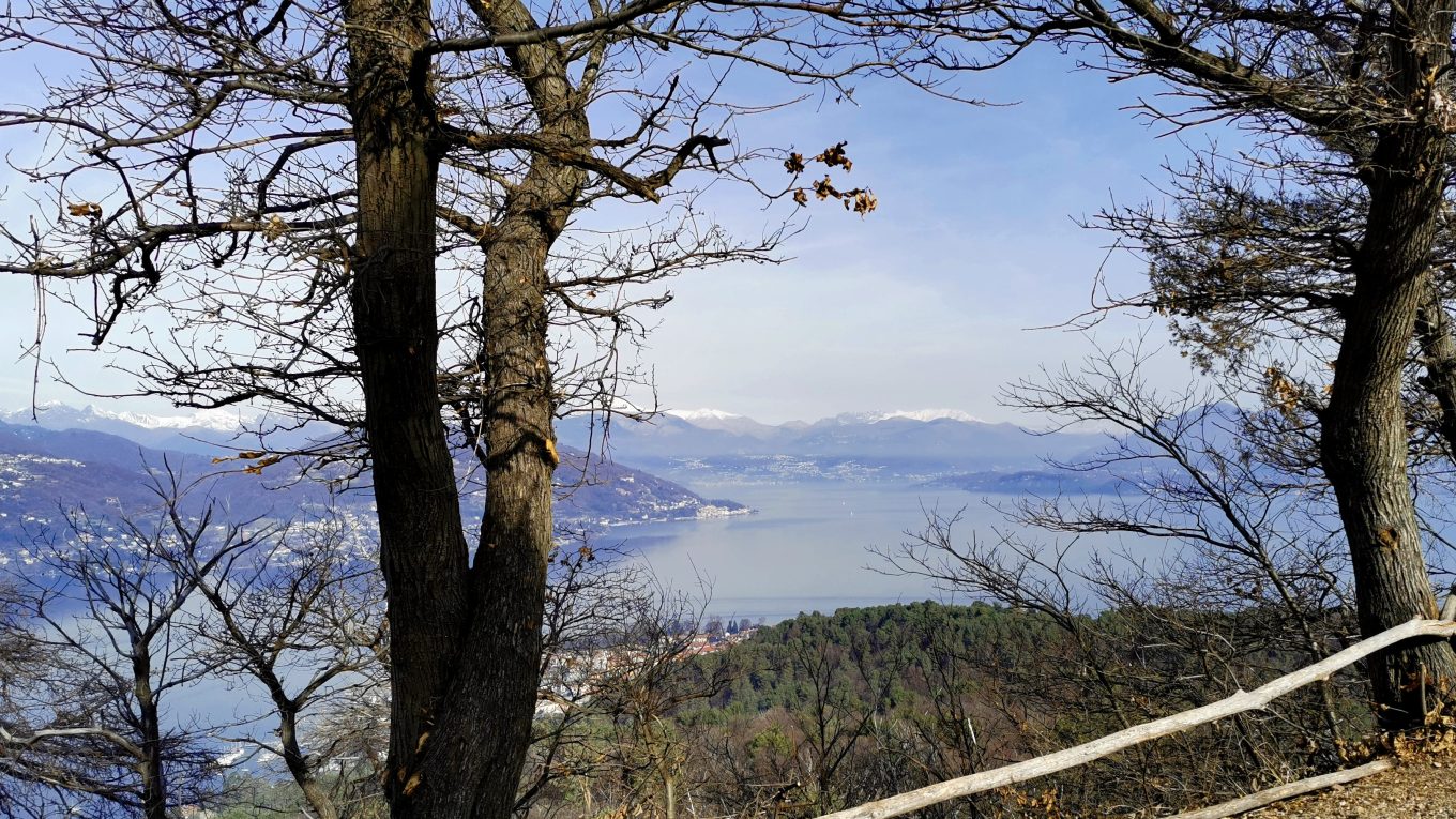 Veduta del Lago Maggiore dalla collina di San Quirico ad Angera