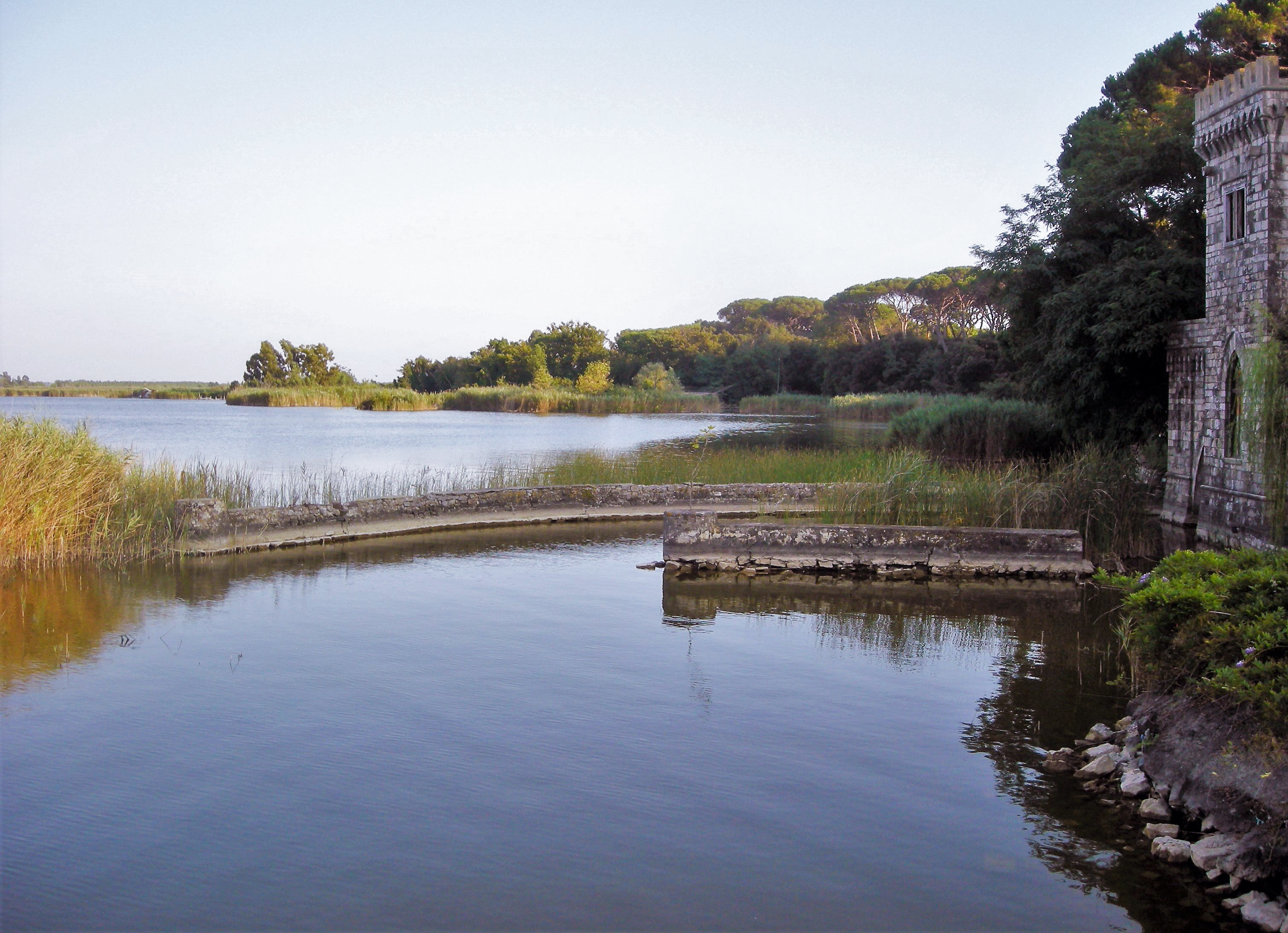 Lago di Massaciuccoli a Torre del Lago Puccini