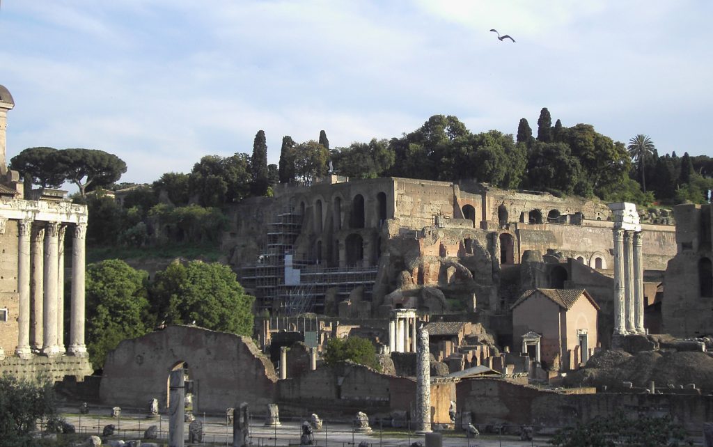 Palatino visto dal Foro Romano a Roma
