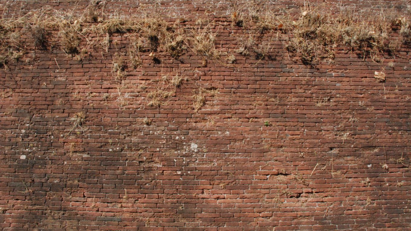 Mura di Lucca viste lungo il percorso alberato