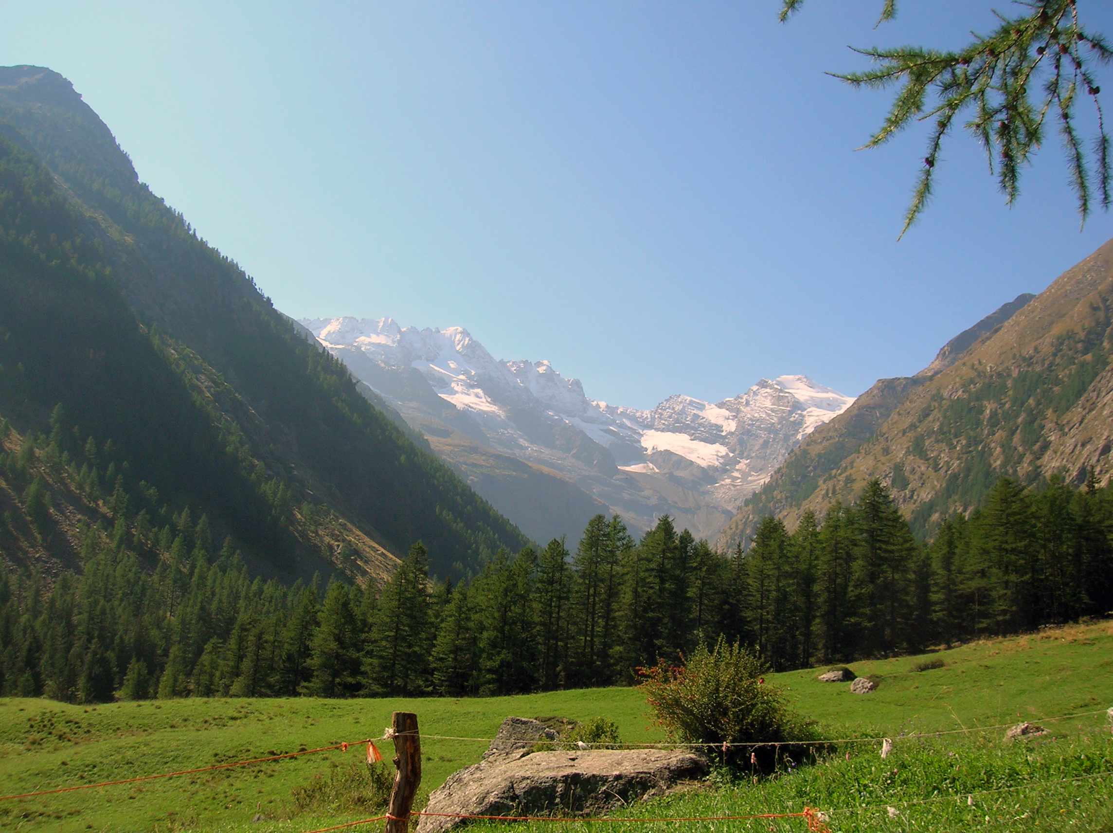 Gran Paradiso visto da Valnontey