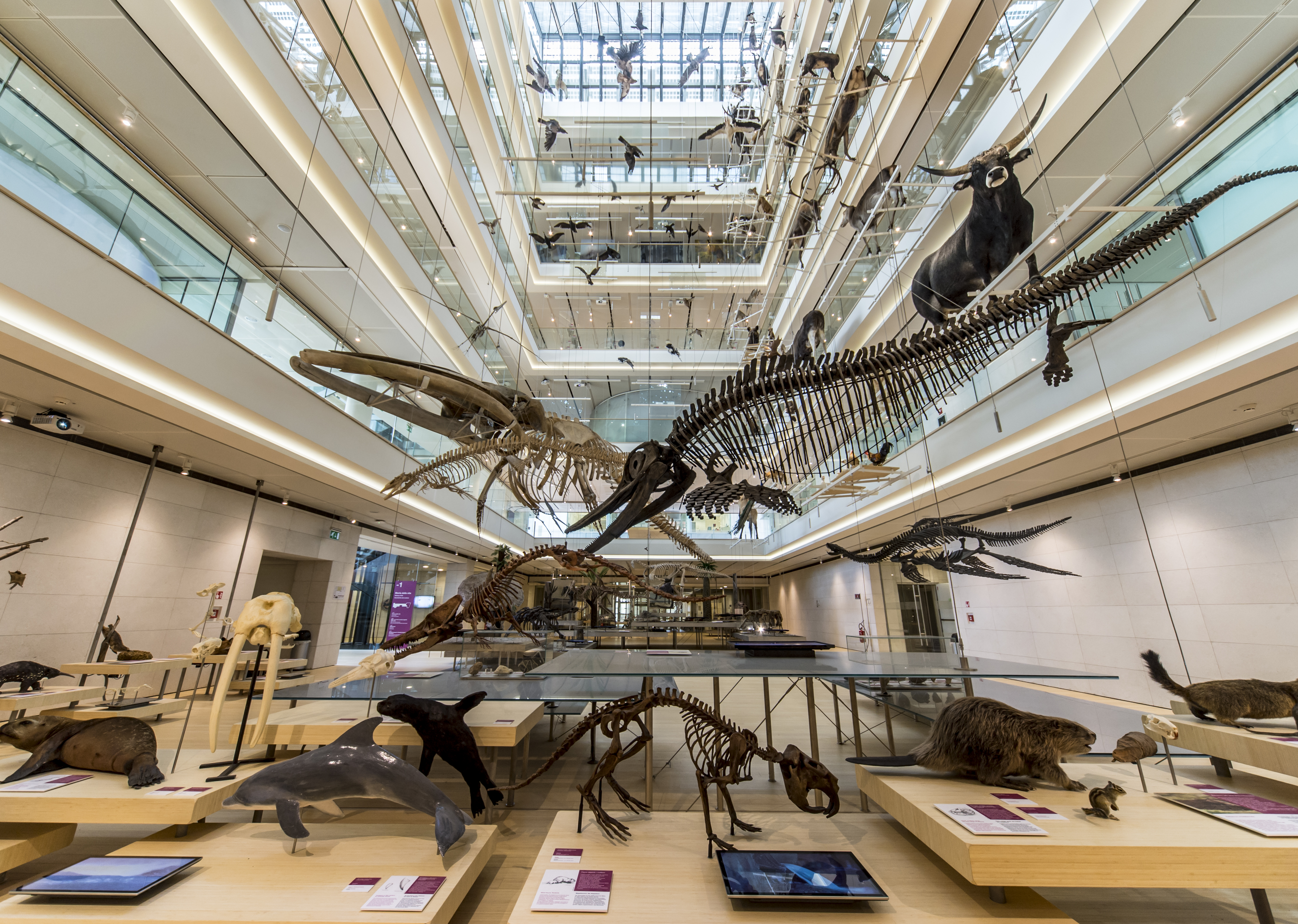 Interno del MUSE Museo delle Scienze di Trento