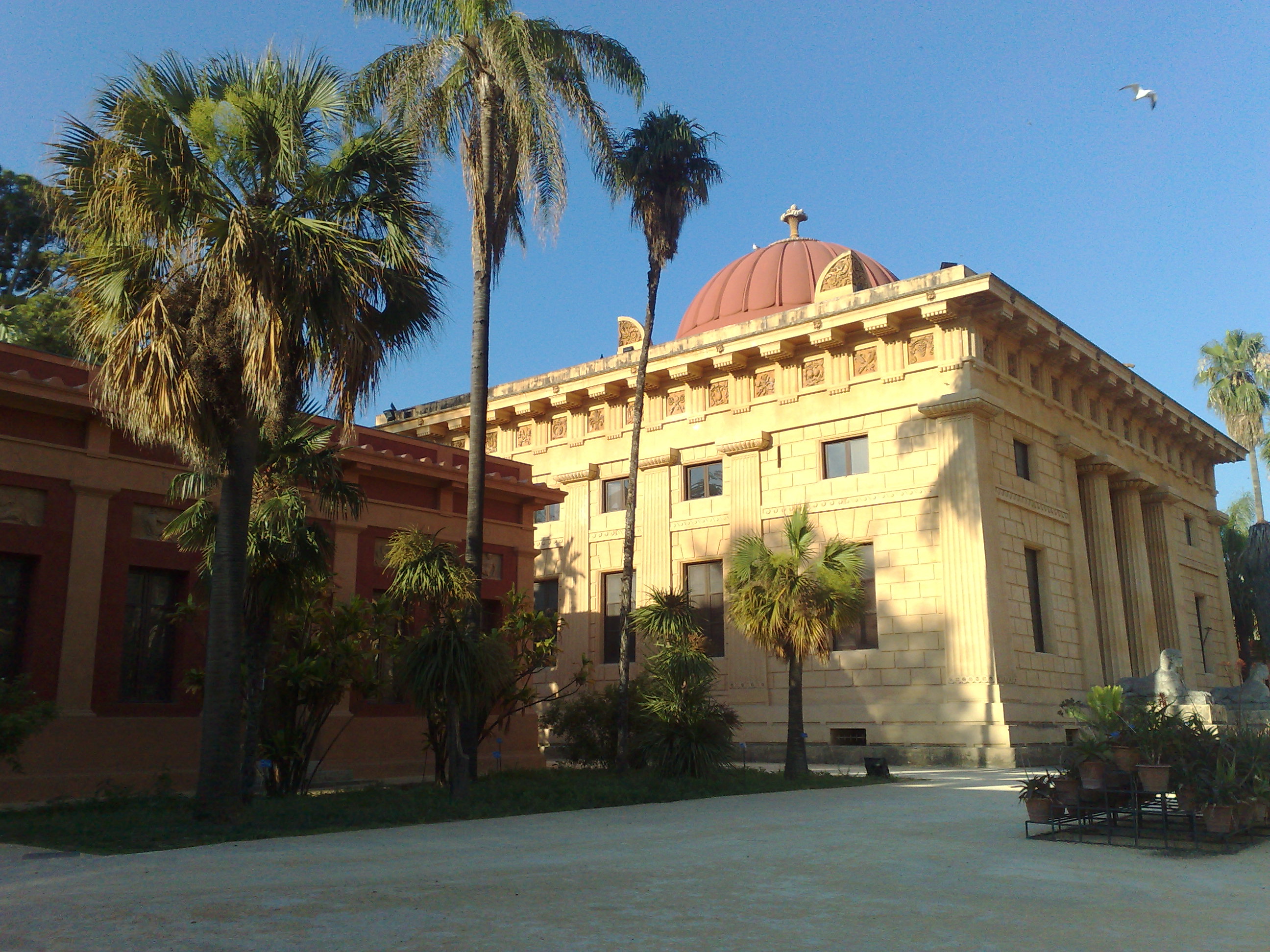 Viali dell’Orto Botanico di Palermo
