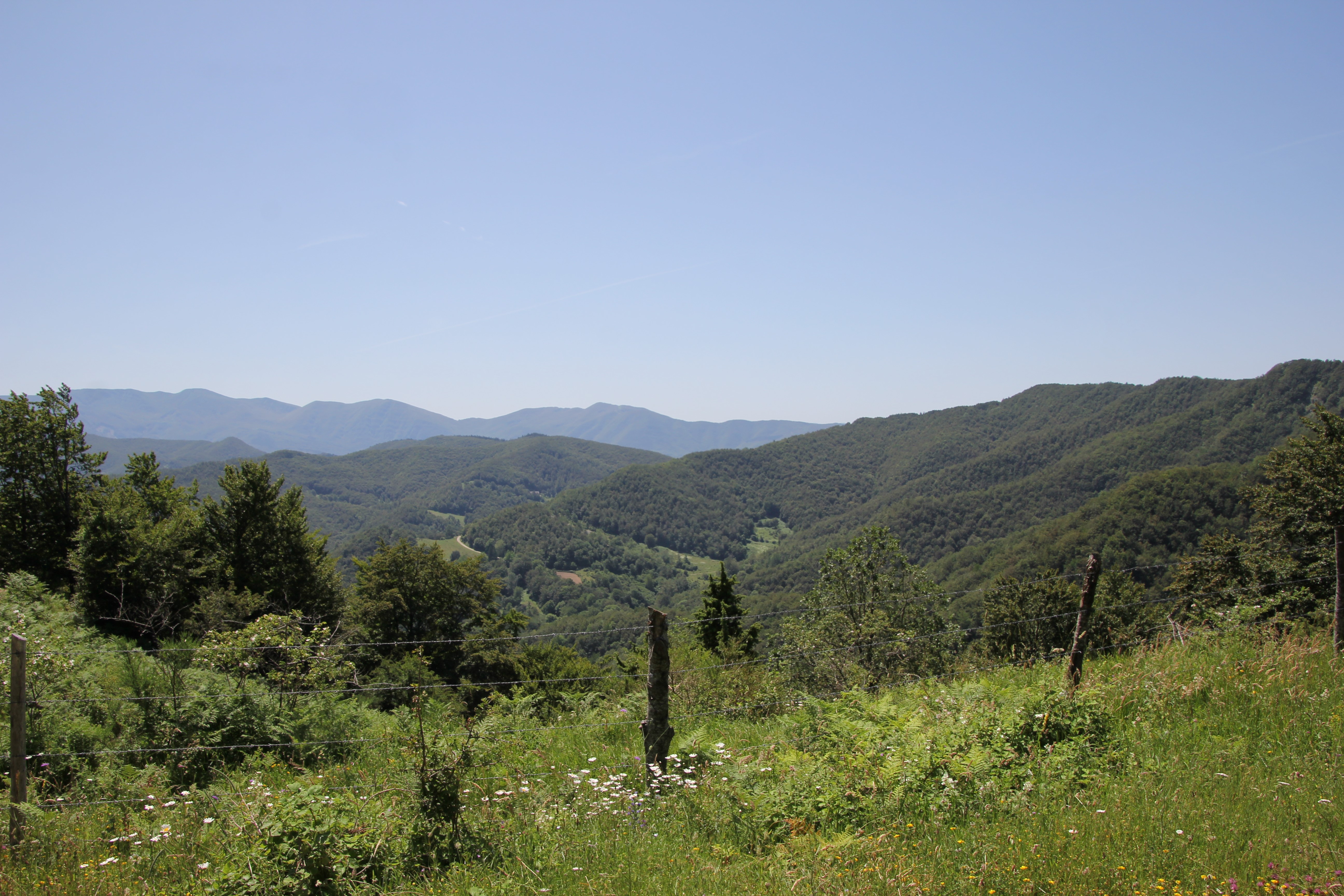 Boschi del Parco nazionale delle Foreste Casentinesi