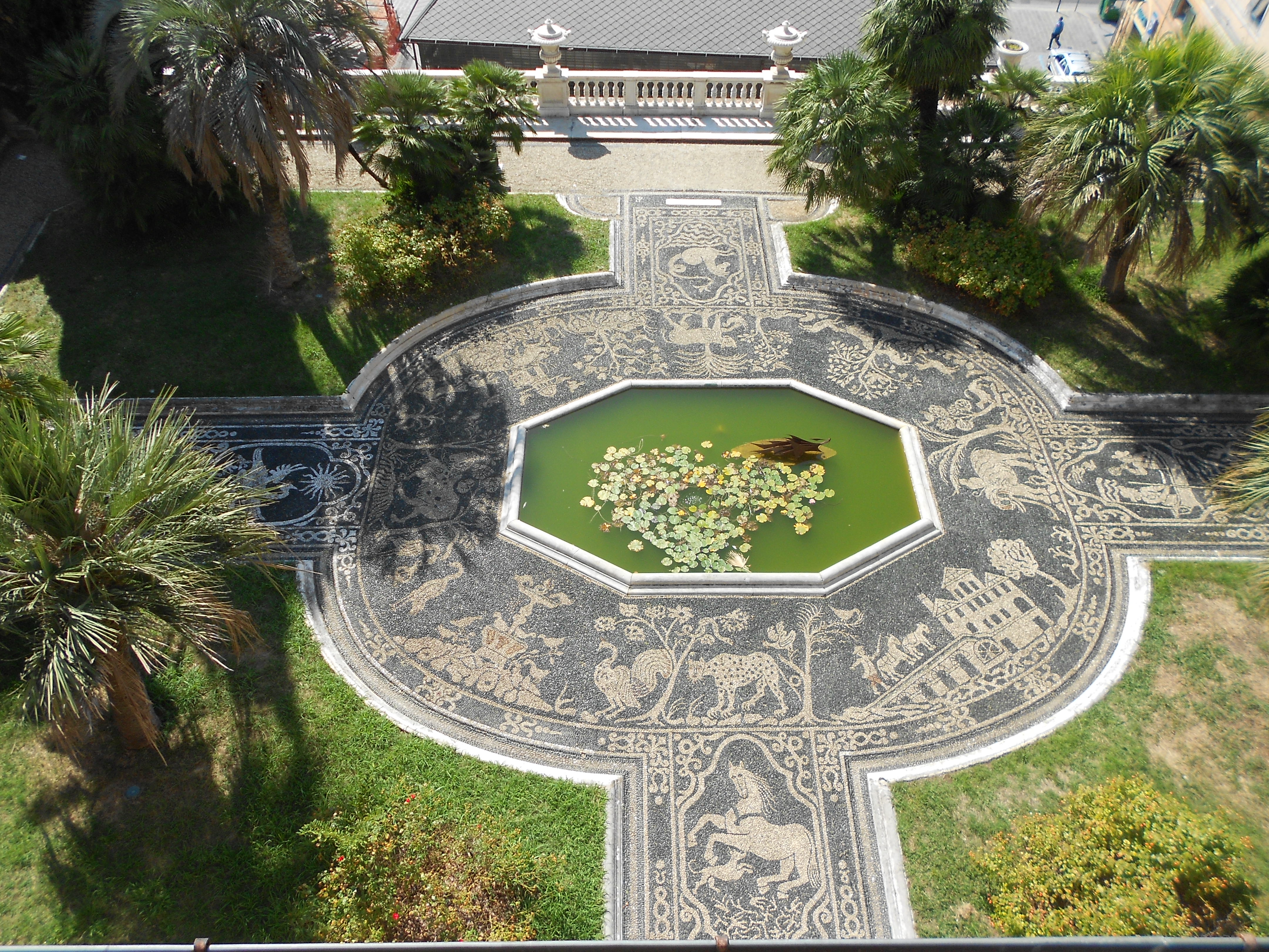 Risseu nel giardino del Palazzo Reale di Genova