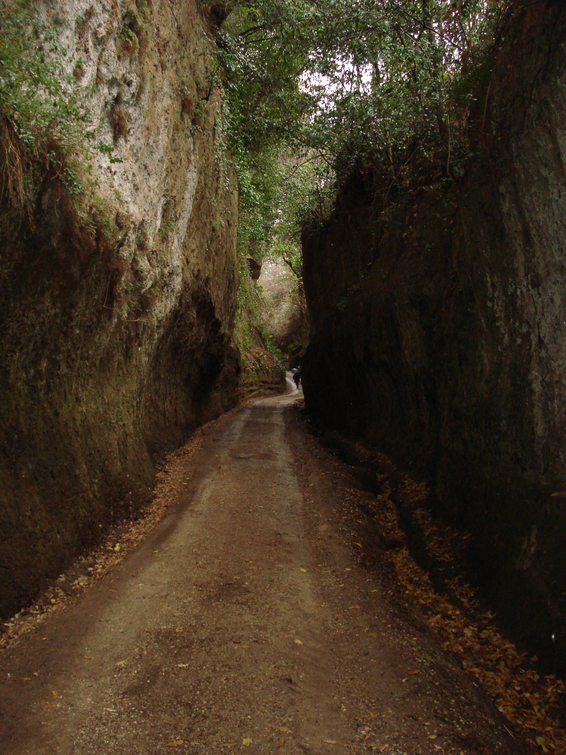 Via cava etrusca vicino a Pitigliano