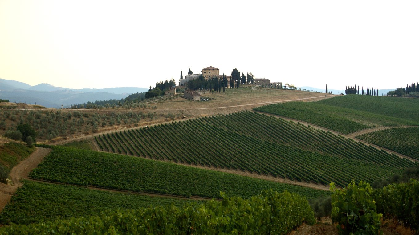 Vigneti nel Chianti in Toscana