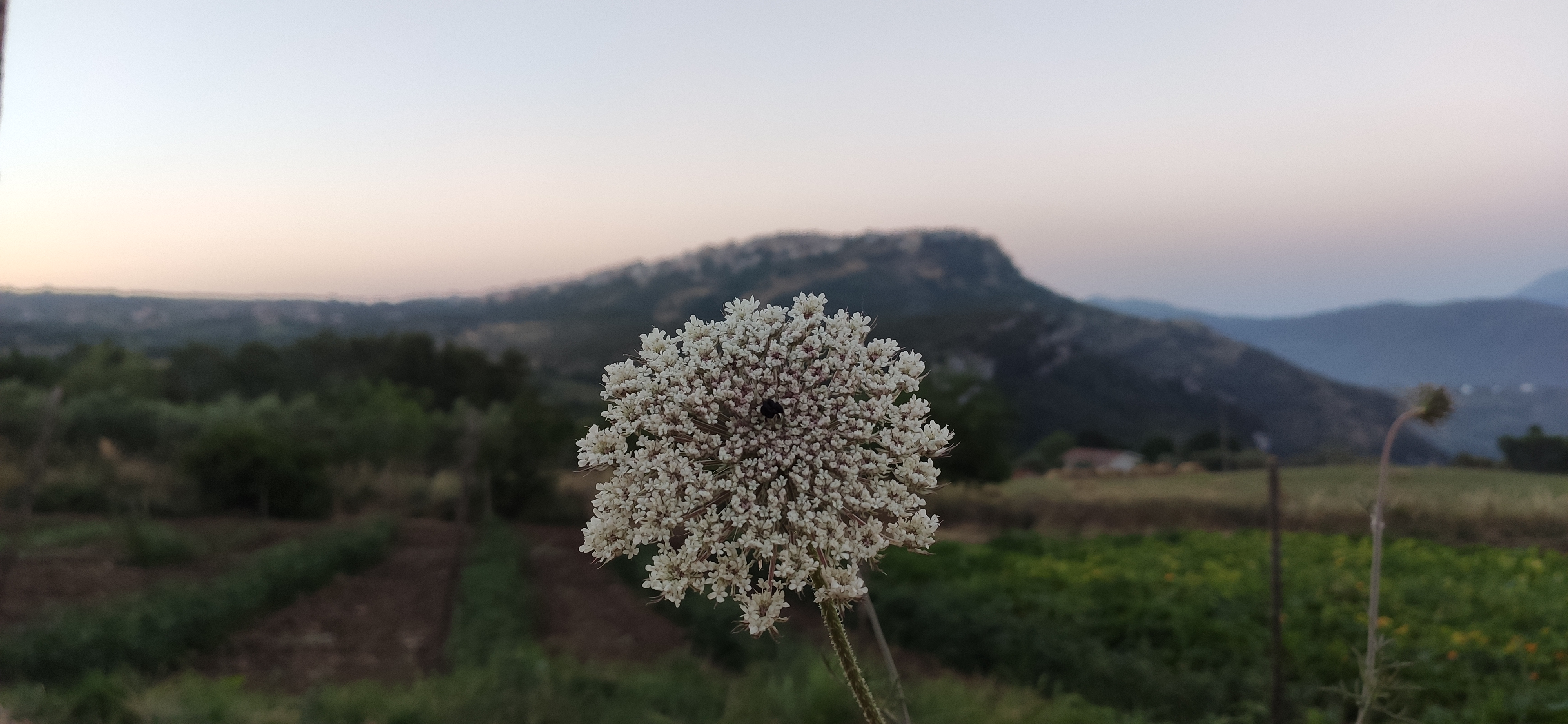 Alba su Trentinara nel Cilento