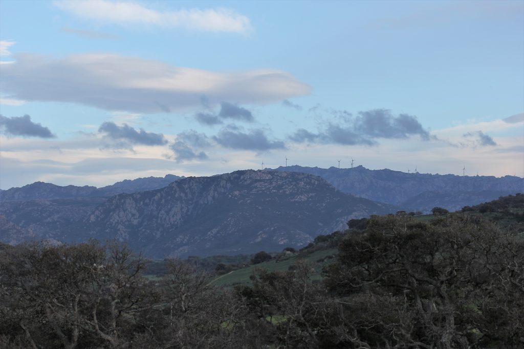 Monte Figos vicino a Berchidda