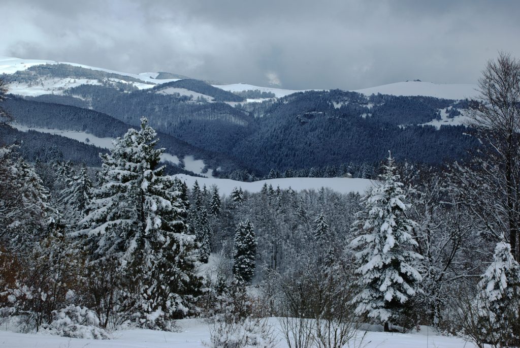 Bosco Chiesanuova in Lessinia