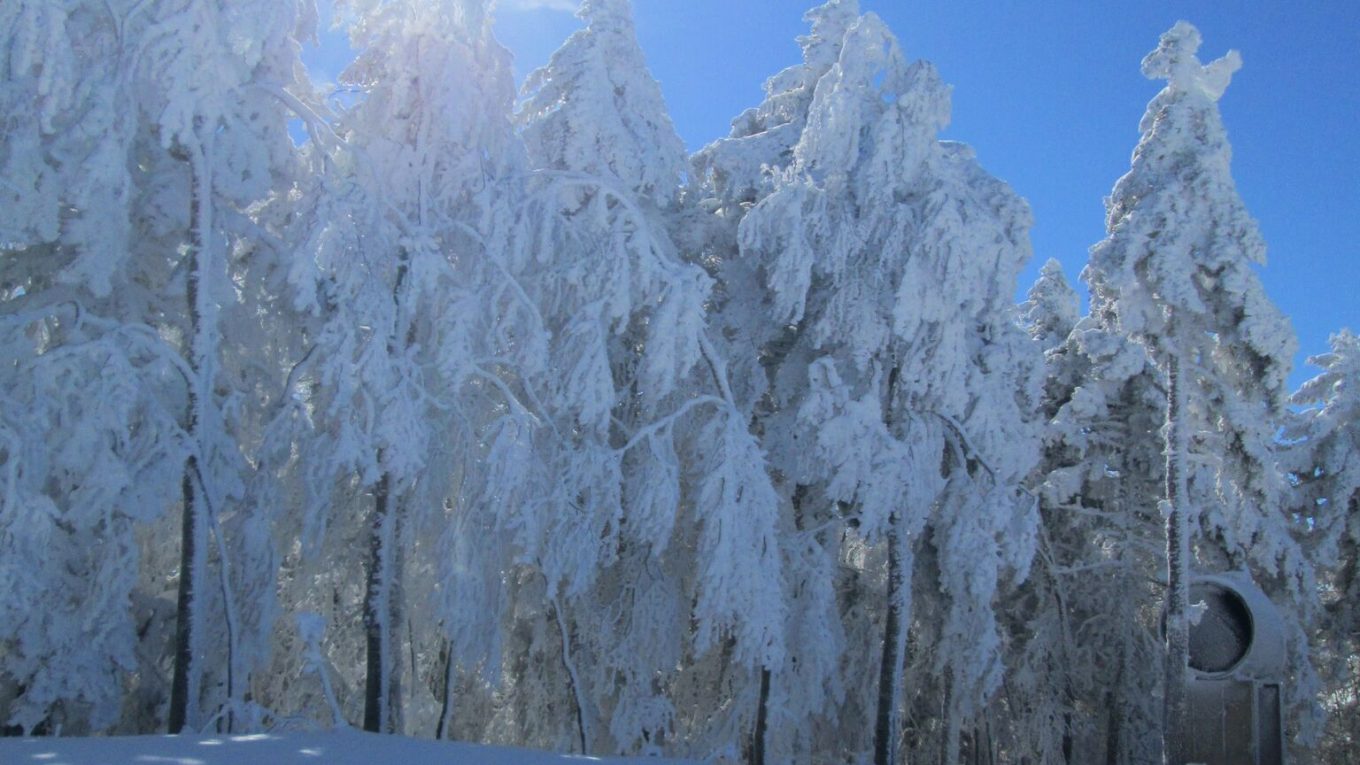 Gambarie d Aspromonte nel Parco nazionale dell Aspromonte