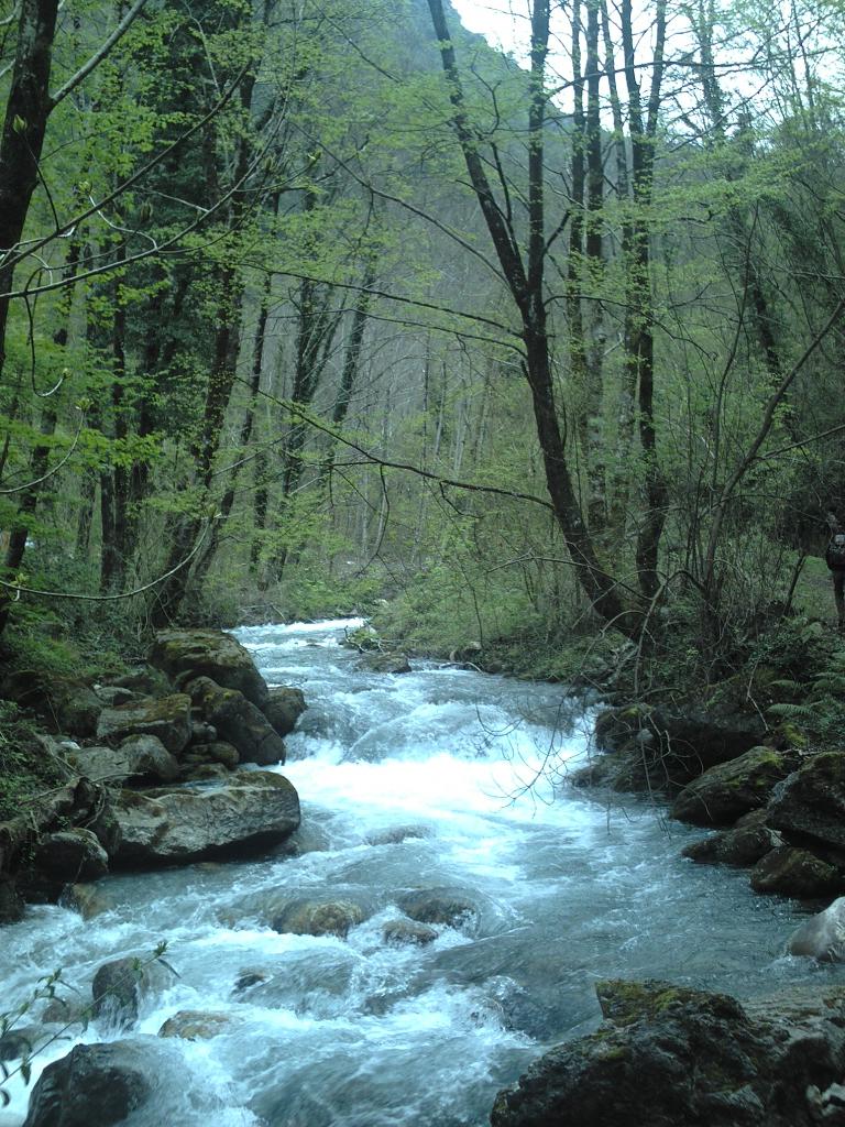 Fiume Argentino nell area di Orsomarso
