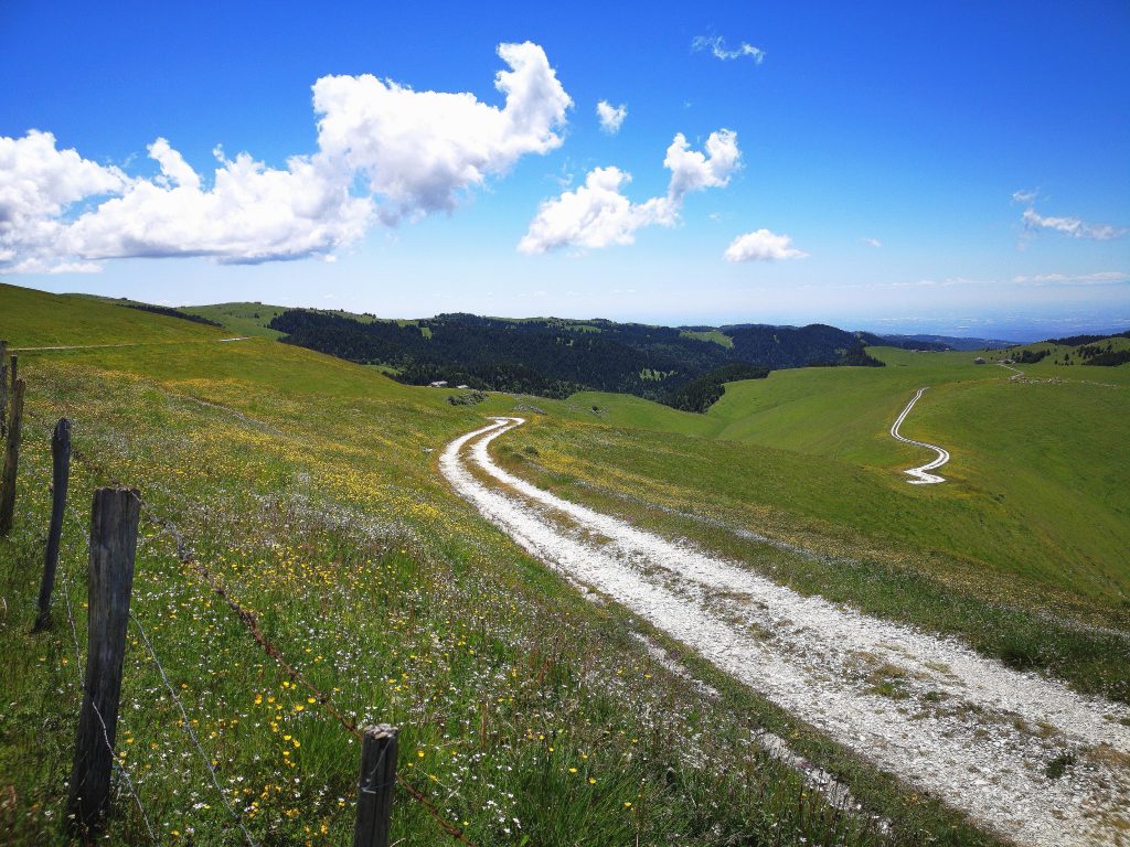 Paesaggio del Parco naturale regionale della Lessinia
