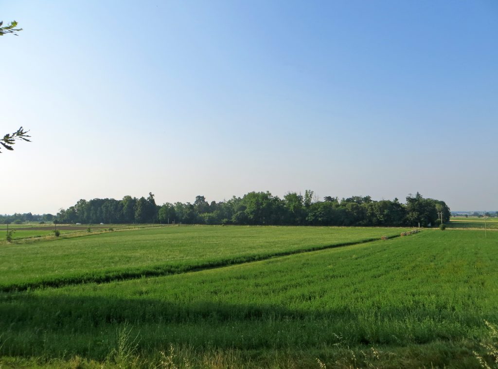 Parco di Villa Magnani a Mamiano di Traversetolo