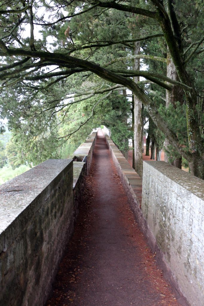 Camminamento del Castello di Brolio