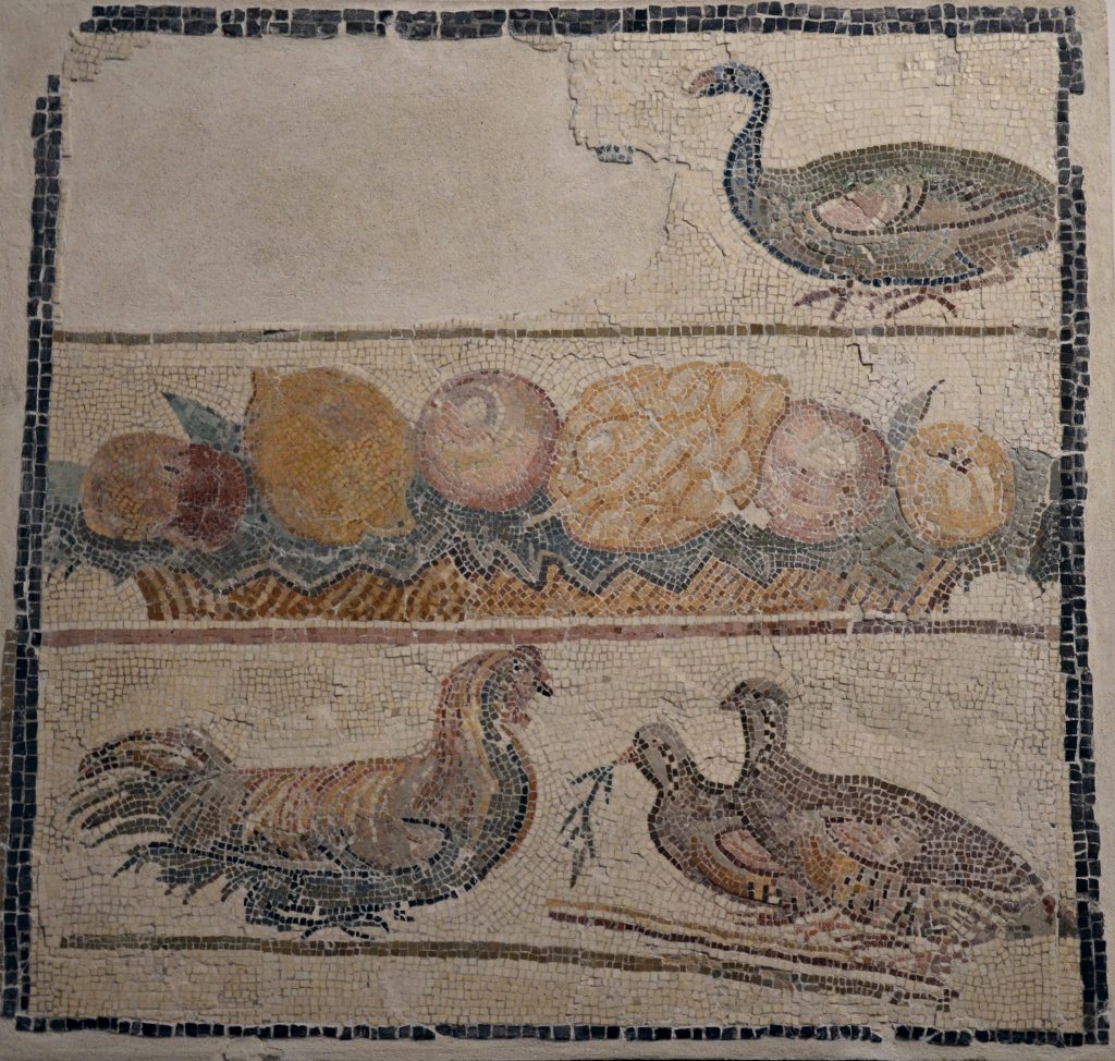 Palazzo Massimo alle Terme, sede del Museo Nazionale Romano a Roma