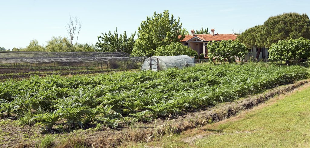 Area agricola lungo Via delle Motte sull’isola di Sant’Erasmo a Venezia